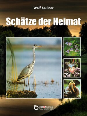 cover image of Schätze der Heimat